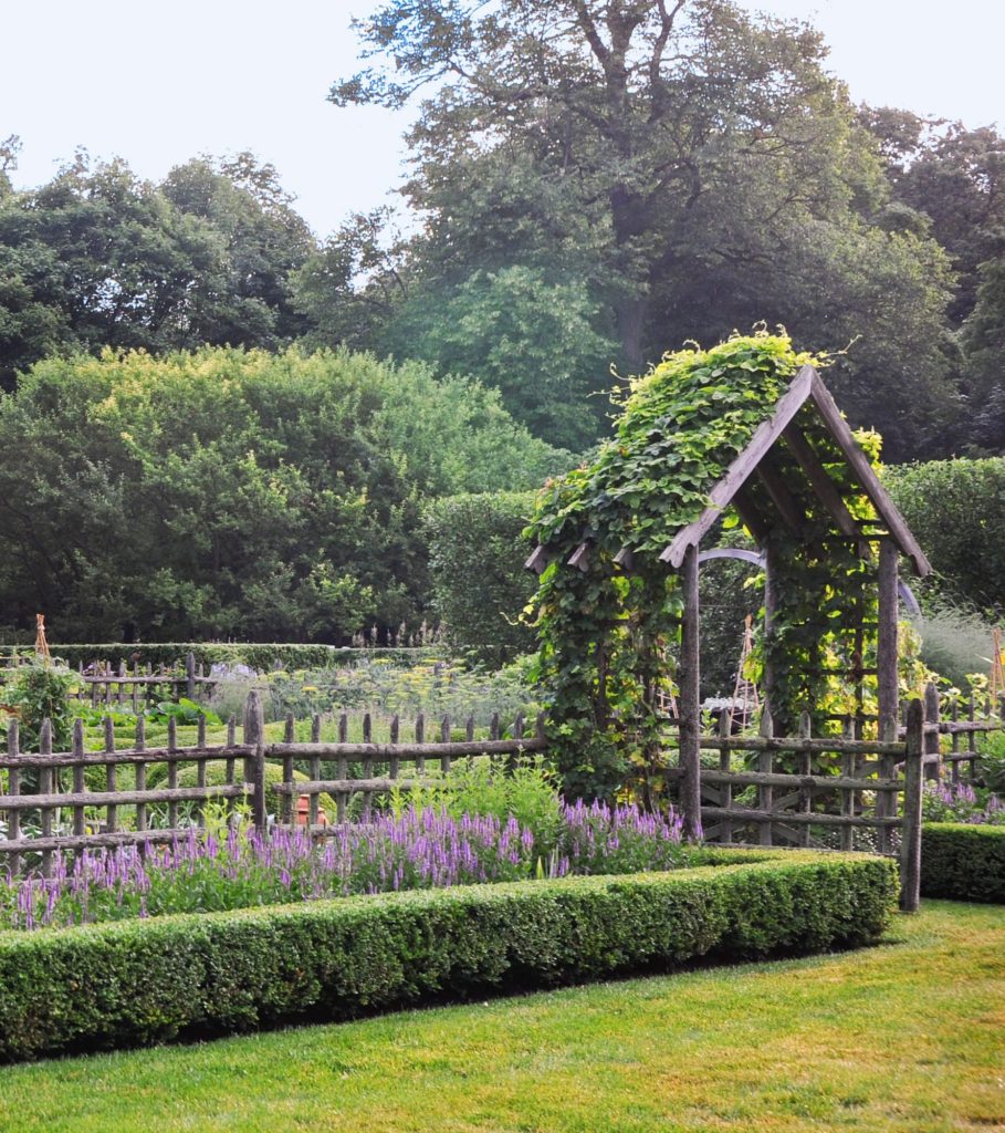 Backyard garden