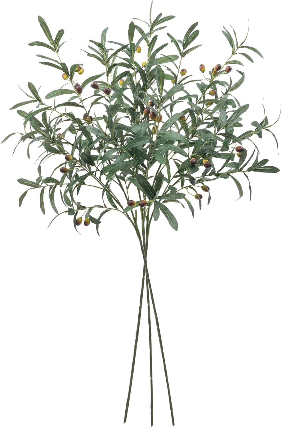 Olive branches