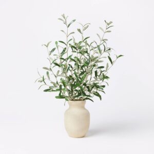 vase with olive stems