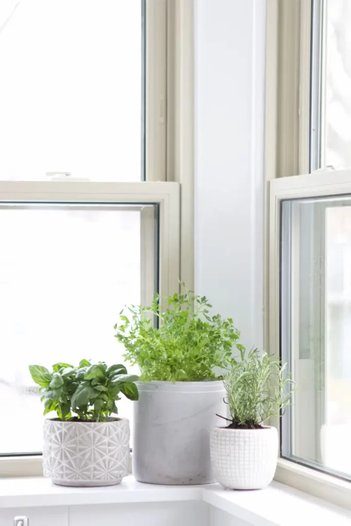 DIY indoor herb garden