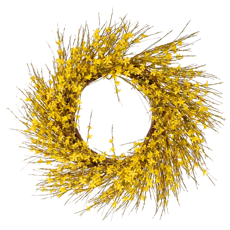 Forsythia wreath