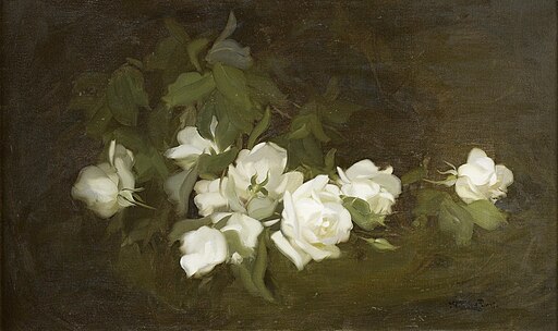 vintage art of white roses