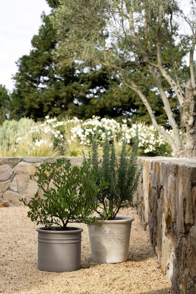 Studio McGee outdoor greenery in ceramic pots