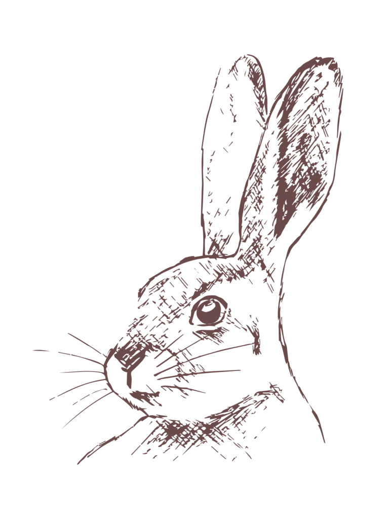 Rabbit art print
