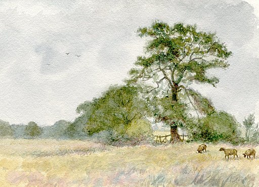 vintage painting of big oak tree in field