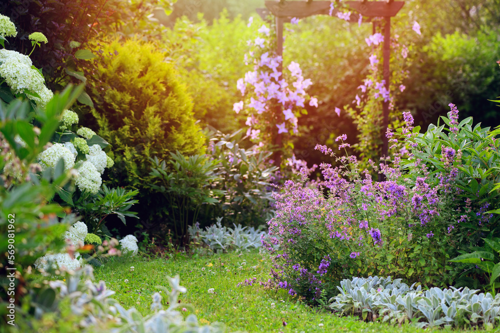 Stunning flowers in English cottage garden