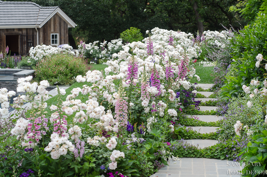 English cottage garden