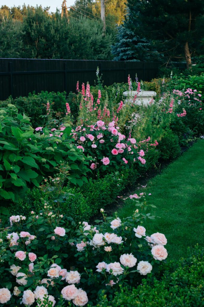 English cottage garden