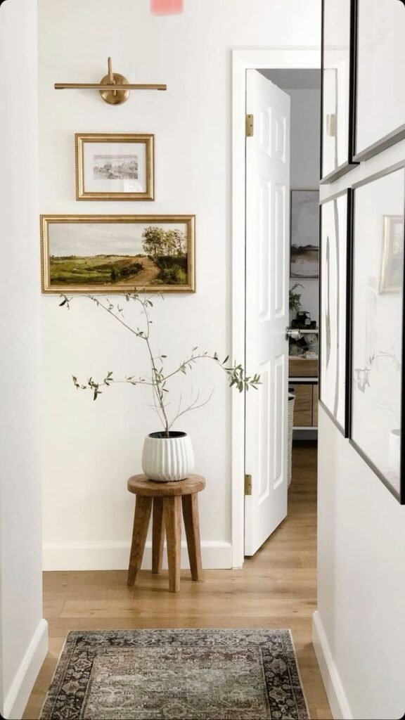 stool with plant in hallway 