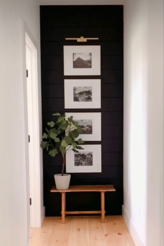 feature wall in small hallway
