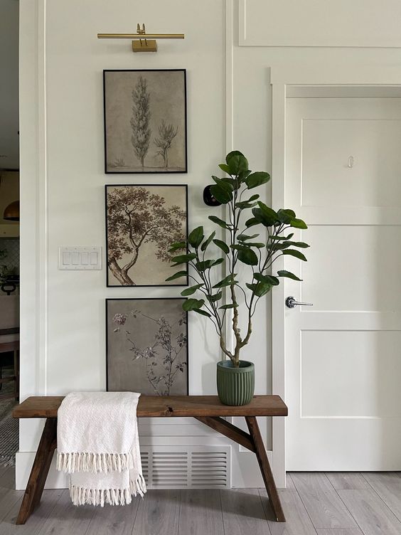 bench in hallway with art and plant