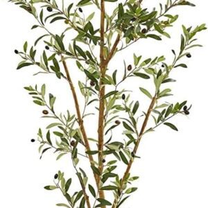 olive tree