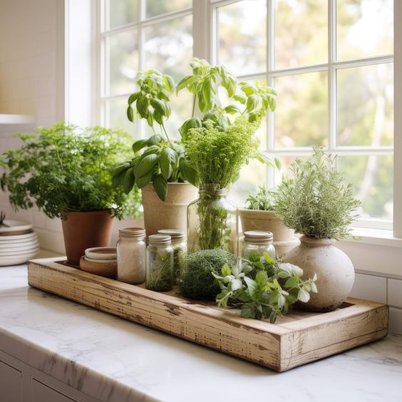 kitchen herb garden