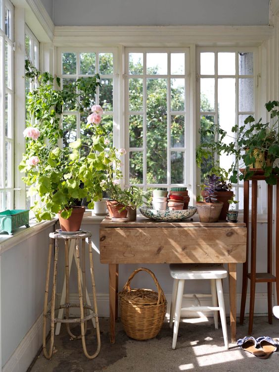 Sun Room filled with potted plants