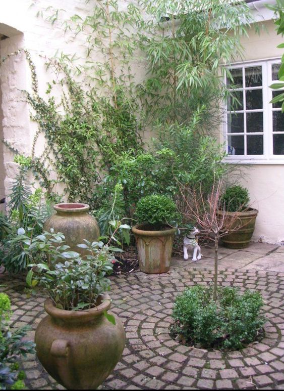 potted plants in European courtyard garden