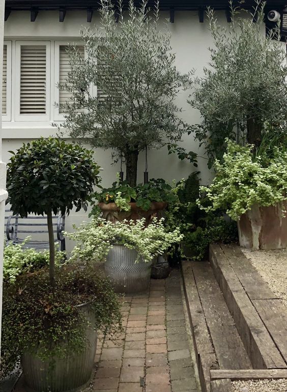 topiaries in European courtyard garden