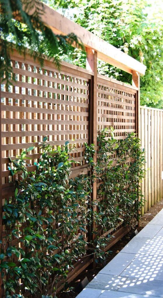 Lattice wall with vines for patio privacy