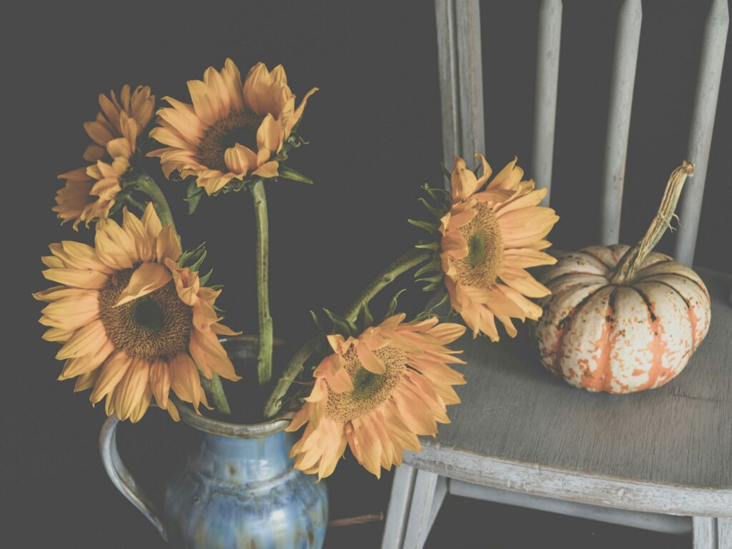 sunflowers in vase