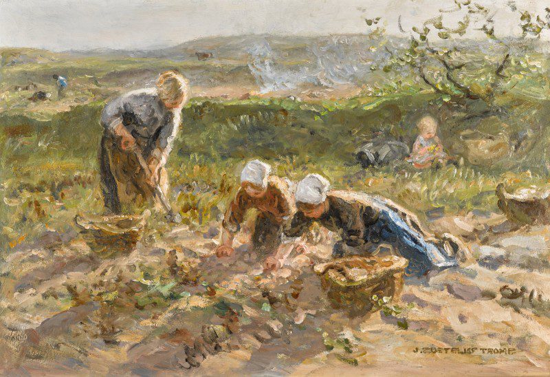 harvest field painting